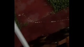 Cat in the hat with a big duck goose