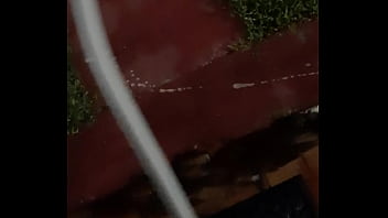 Cat in the hat with a big duck goose