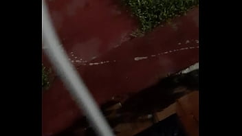 Cat in the hat with a big duck goose