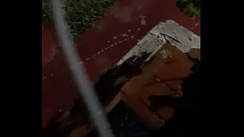 Cat in the hat with a big duck goose