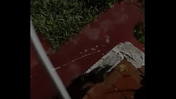 Cat in the hat with a big duck goose