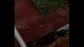 Cat in the hat with a big duck goose