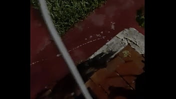 Cat in the hat with a big duck goose