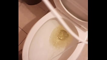 Cat in the hat with a big duck goose