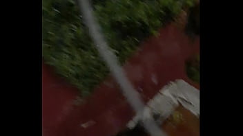 Cat in the hat with a big duck goose