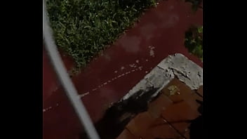 Cat in the hat with a big duck goose