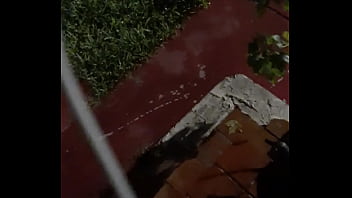 Cat in the hat with a big duck goose