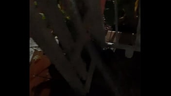 Cat in the hat with a big duck goose