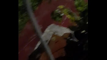 Cat in the hat with a big duck goose