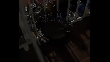 Cat in the hat with a big duck goose