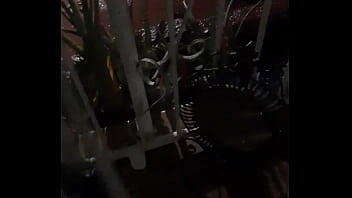 Cat in the hat with a big duck goose