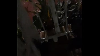 Cat in the hat with a big duck goose