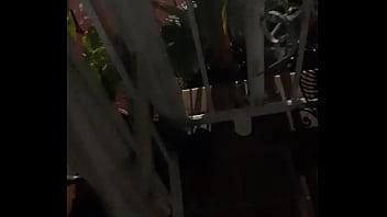 Cat in the hat with a big duck goose