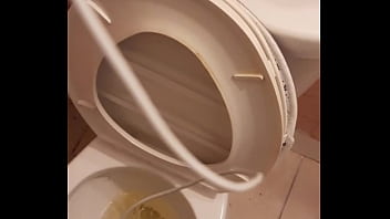 Cat in the hat with a big duck goose