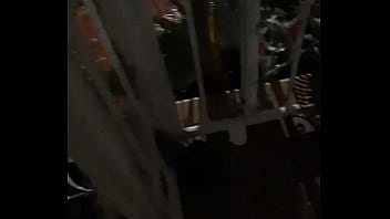 Cat in the hat with a big duck goose