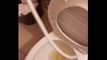 Cat in the hat with a big duck goose