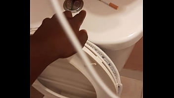 Cat in the hat with a big duck goose