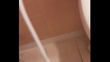 Cat in the hat with a big duck goose