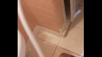 Cat in the hat with a big duck goose