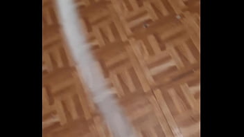 Cat in the hat with a big duck goose