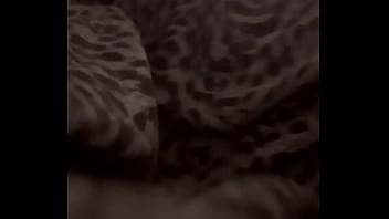 Alineflavio update #134 vid 20240818 100954 4 aug 20 2024