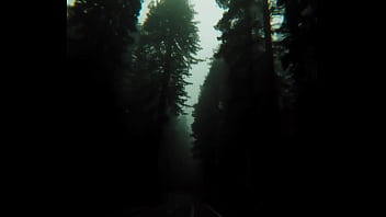 Bokep indonesia terbaru