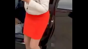 Лиса Нов маш