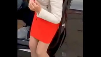 Лиса Нов маш