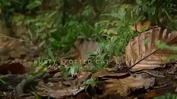 Pepitogalaxy chat content #127 videoplayback small may 16 2024