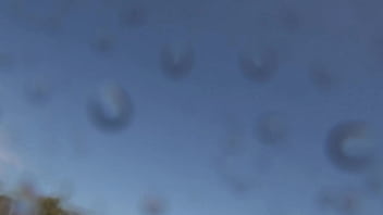 "romance en la ¡tsunami dice 'corten ' en pleno clímax "