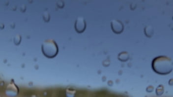 "romance en la ¡tsunami dice 'corten ' en pleno clímax "