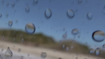 "romance en la ¡tsunami dice 'corten ' en pleno clímax "