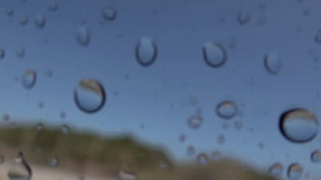 "romance en la ¡tsunami dice 'corten ' en pleno clímax "