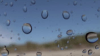 "romance en la ¡tsunami dice 'corten ' en pleno clímax "