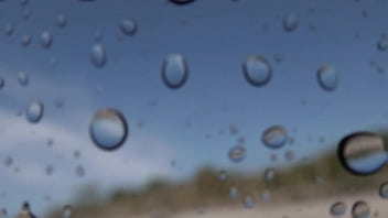 "romance en la ¡tsunami dice 'corten ' en pleno clímax "