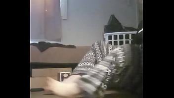 Sc complimentary exercising