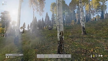 En el bosque me encuentro un oso