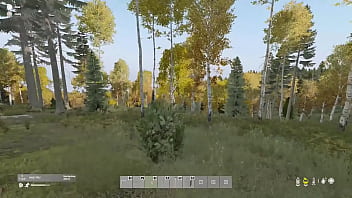 En el bosque me encuentro un oso