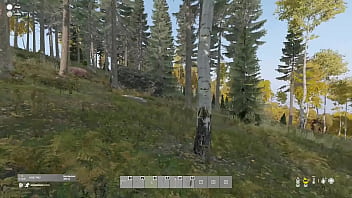 En el bosque me encuentro un oso