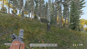 En el bosque me encuentro un oso