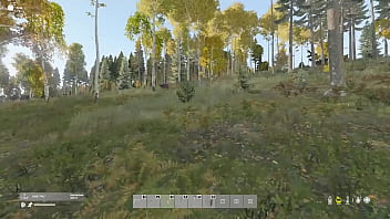 En el bosque me encuentro un oso