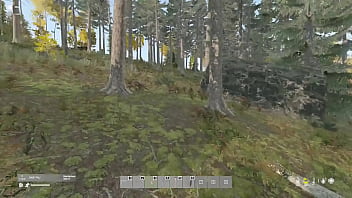 En El Bosque Me Encuentro Un Oso thumbnail