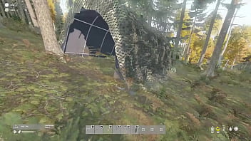 En el bosque me encuentro un oso