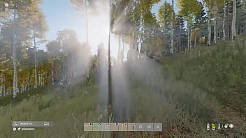 En el bosque me encuentro un oso