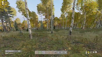 En el bosque me encuentro un oso