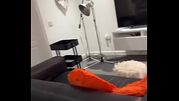 Guess what i got up to