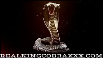 Happy new title preview hot new content alert king cobra makes my pussy happy feat sexy vegas