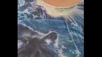 Coletânea de vídeos