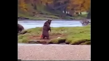 Video bokep part 1346991