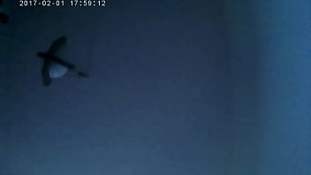 Wieczorna zabawa z żoną 4k